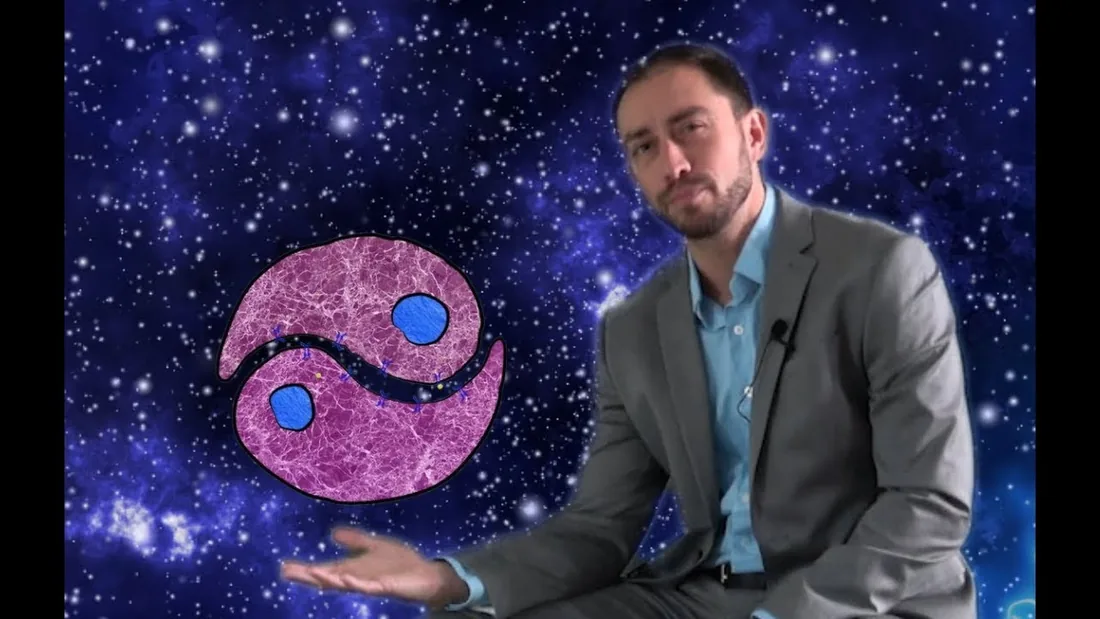 Molecular Lectures